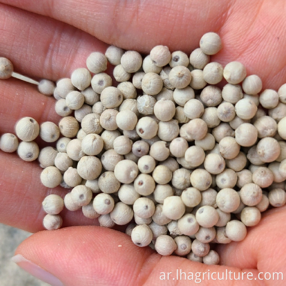 White Pepper Granules Seed